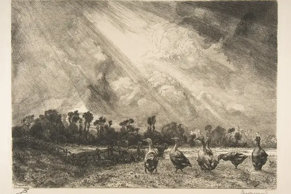 Gravure ancienne : des oies dans une prairie sous un ciel d'orage chargé de pluie