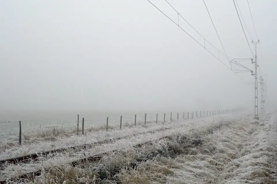 Herbe et voie ferrée couvertes de givre dans le brouillard d'un matin d'hiver