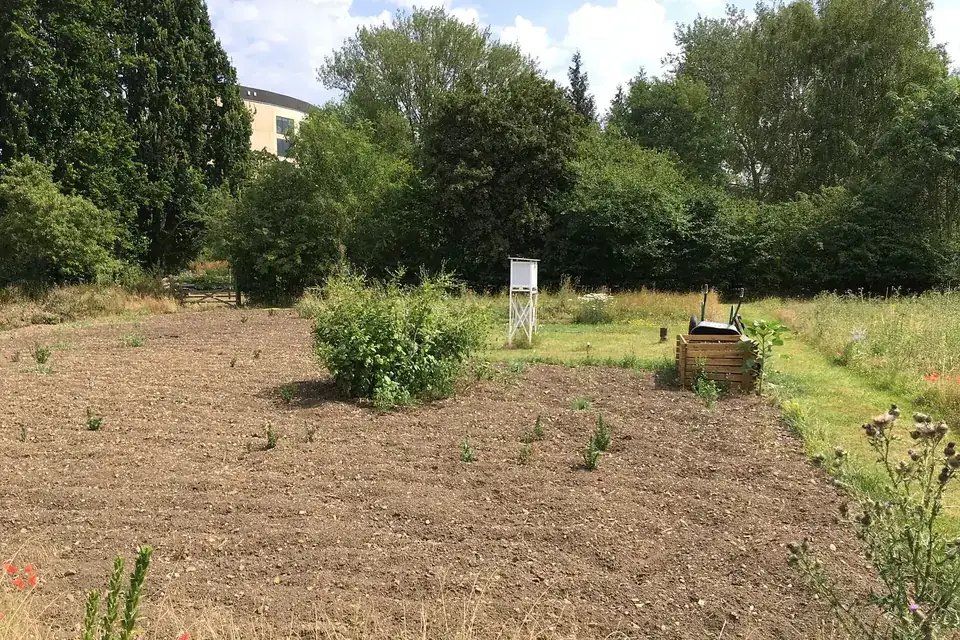 Une station météorologique dans un jardin botanique, avec son abri blanc au milieu d'une parcelle dégagée entourée d'arbres
