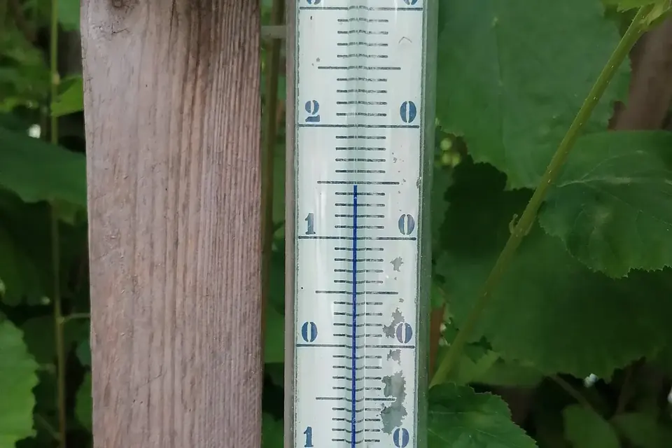 Un thermomètre à liquide gradué en degrés Celsius, fixé à un poteau de bois dans un jardin